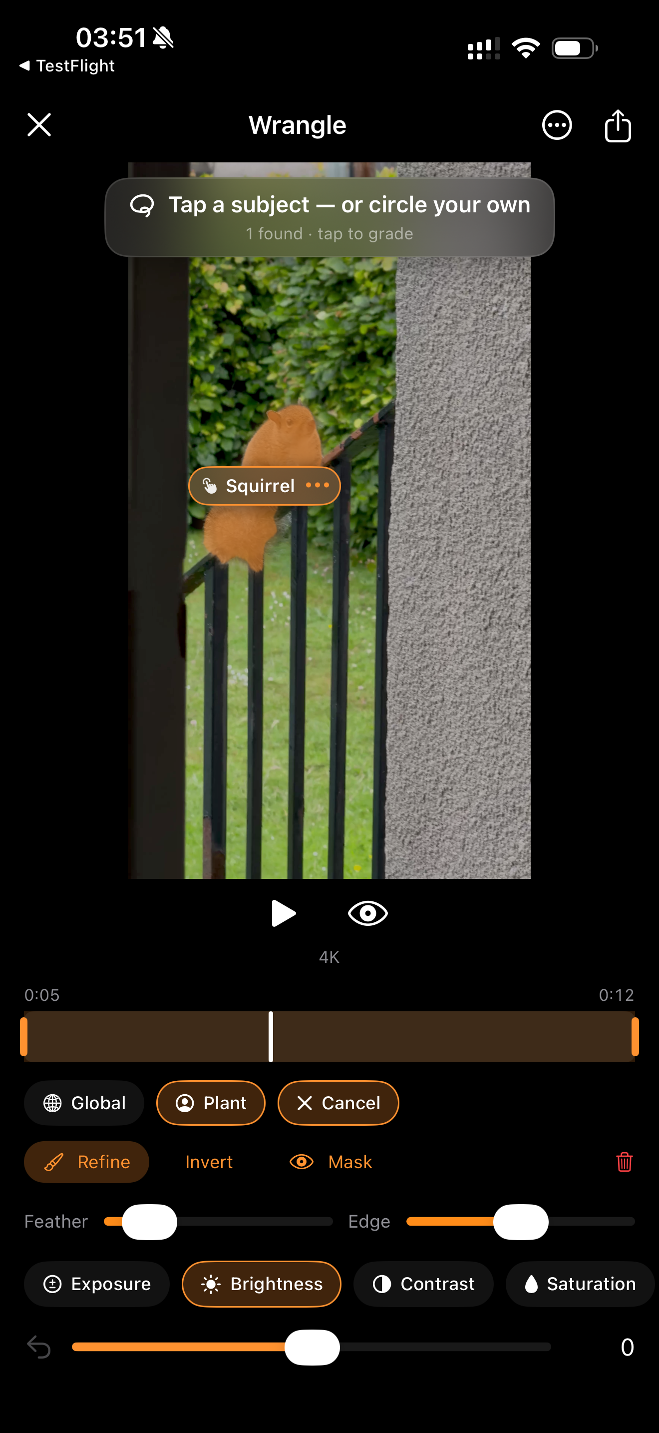 Wrangle detecting a subject in a video, ready to grade, with exposure, brightness, contrast and saturation controls